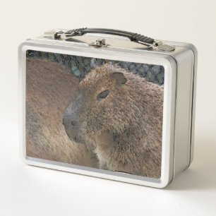 toony Capibarah Metal Lunch Box