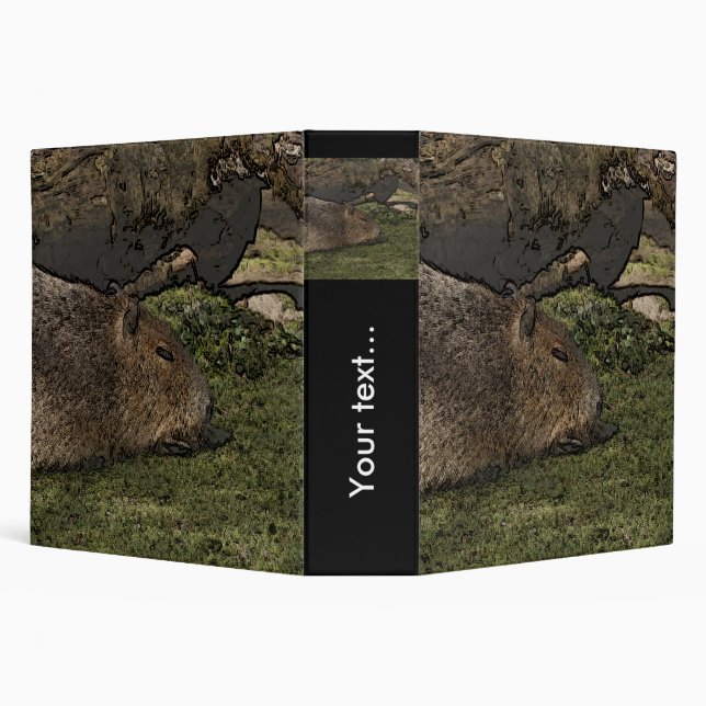 toony capy 2 binder (Background)