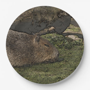 toony capy 2 paper plate