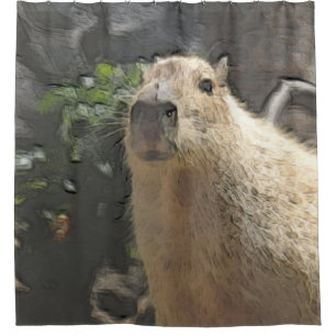 toony capy 3
