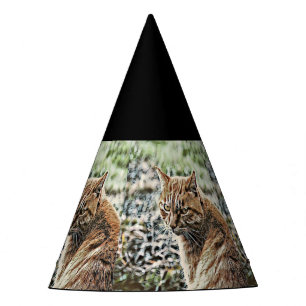 toony cat party hat