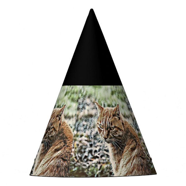 toony cat party hat (Front)