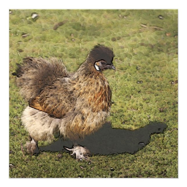 toony chicken photo print (Front)