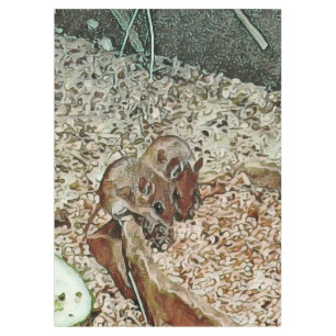 Toony dwarf mice tablecloth