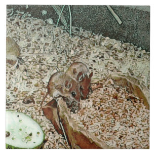 Toony dwarf mice tile
