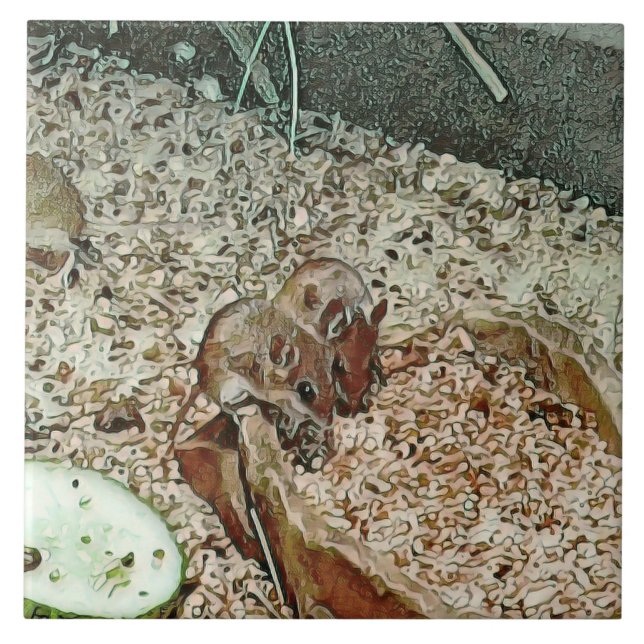 Toony dwarf mice tile (Front)