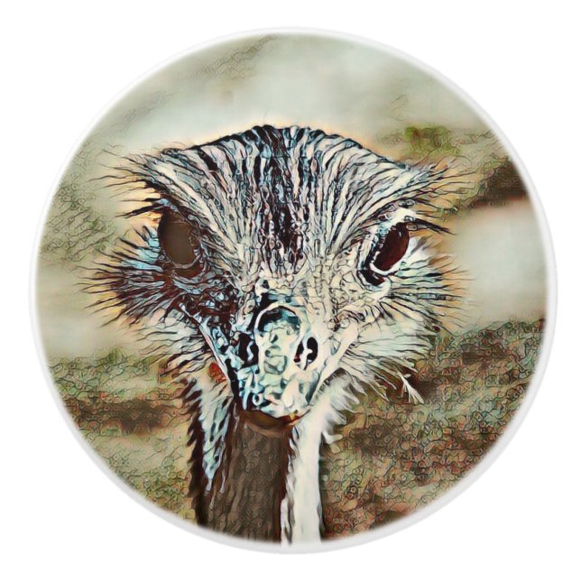 toony ostrich ceramic knob (Front)