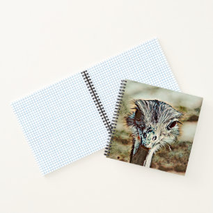toony ostrich notebook
