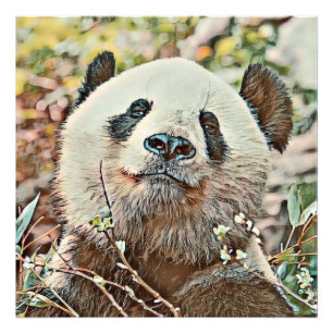 toony panda photo print