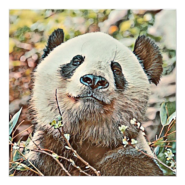 toony panda photo print (Front)