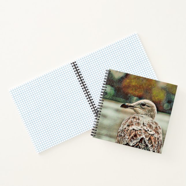 toony seagull notebook (Inside)