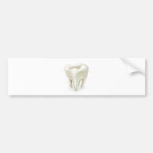 Tooth illustration bumper sticker