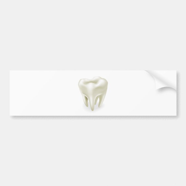 Tooth illustration bumper sticker (Front)