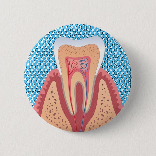 TOOTH STRUCTURE 2 INCH ROUND BUTTON (Front)