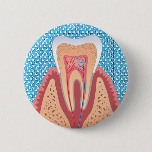 TOOTH STRUCTURE 2 INCH ROUND BUTTON