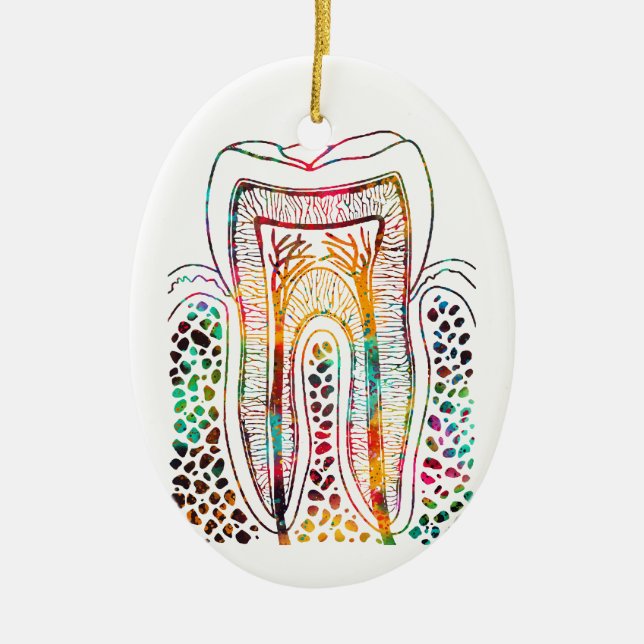 Tooth Structure Ceramic Ornament (Front)