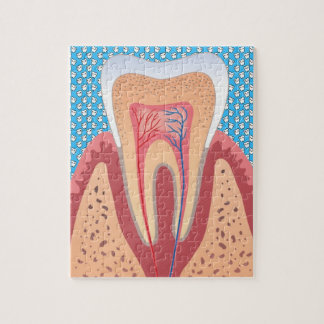 TOOTH STRUCTURE JIGSAW PUZZLE