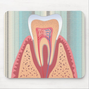 TOOTH STRUCTURE MOUSE PAD
