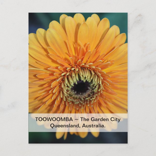Toowoomba La Carte Postale Garden City (Devant)