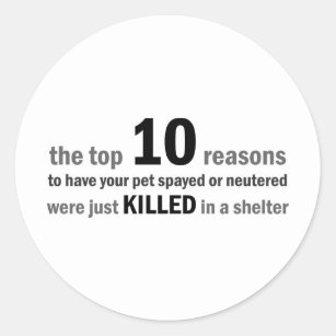 Top 10 Reasons to Spay or Neuter Classic Round Sticker