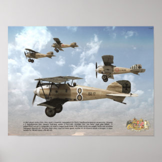 Top Aces of the Austro-Hungarian KuK Air Force Poster