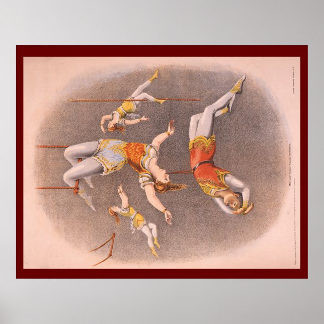 TOP Acrobat in the House Poster (Front)