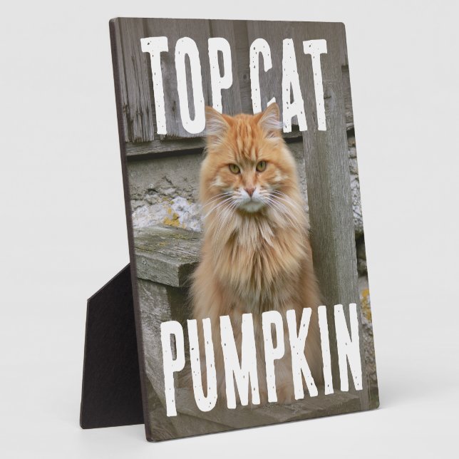 Top Cat PhotoPop Plaque (Side)
