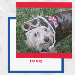 Top Chien en costume d'aviateur Carte de note plat