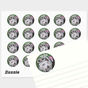 Top Dog Cute Scruffy Puppy Classic Round Sticker