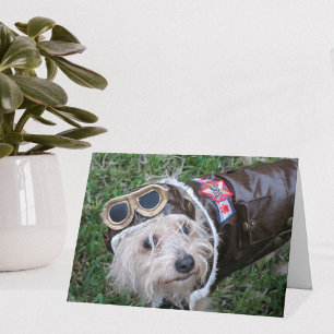 Top Dog dans la carte de note costume d'aviateur