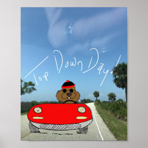 Top Down Groundhog Day Poster
