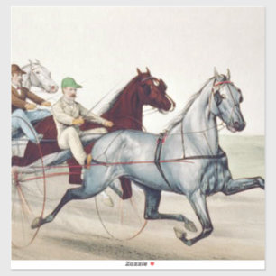 TOP Harness Racing