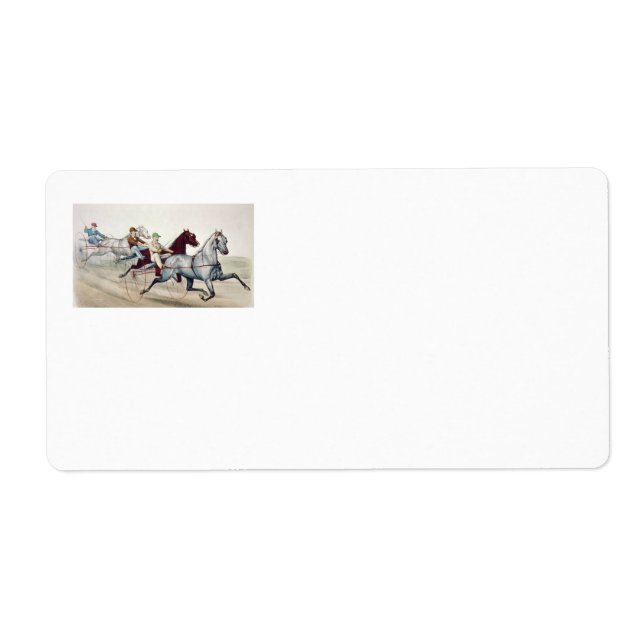 TOP Harness Racing (Devant)