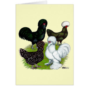 Top Hat Chicken Quartet