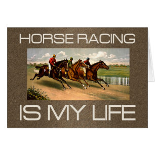 TOP Horse Racing Is My Life