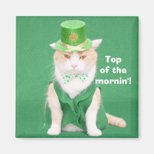 Top of the mornin'! magnet