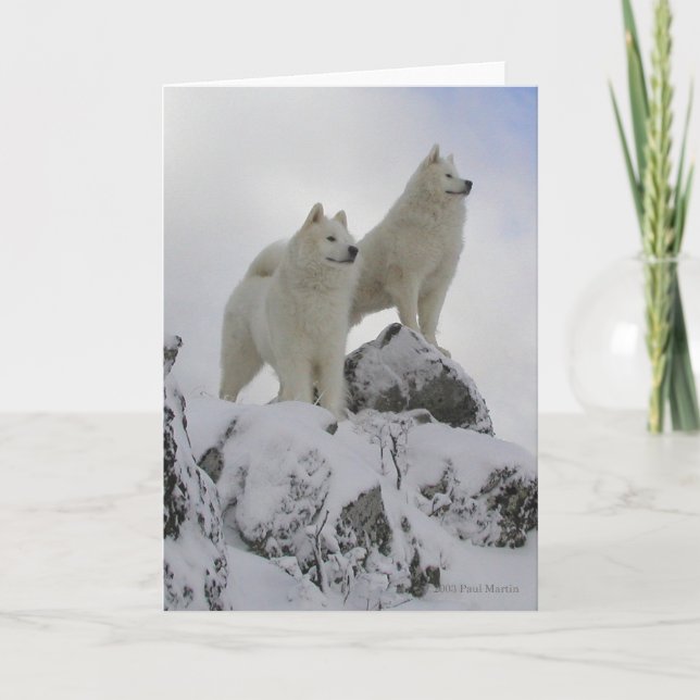 "Top Of The World" Greeting Card (Front)