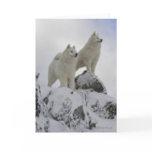 "Top Of The World" Greeting Card