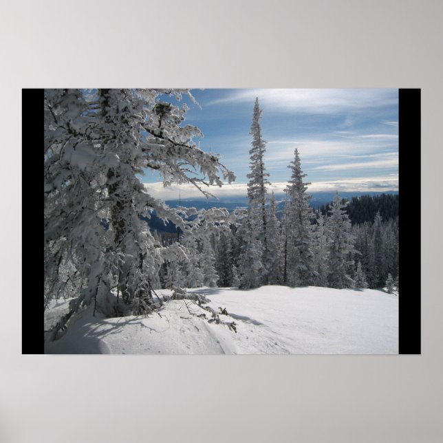 Top of Wayright - Steamboat Colorado Poster (Front)