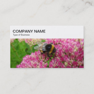 Top Panel - Bumble Bee on Sedum Business Card