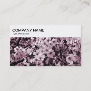 Top Panel - Cherry Blossom Business Card