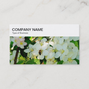 Top Panel - Honey Bee on Blossom Business Card