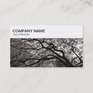 Top Panel - Magnolia Trees Business Card
