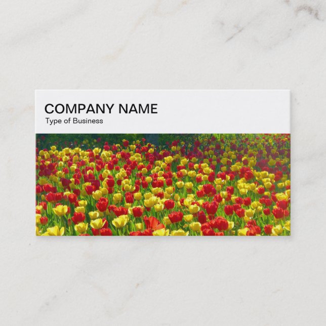Top Panel - Red and Yellow Tulips 03 Business Card (Front)