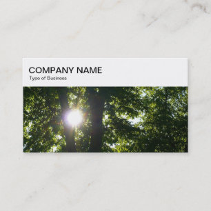 Top Panel - Sun Shining Through Trees Business Car Business Card
