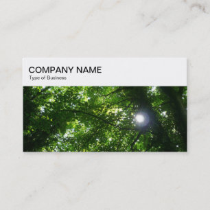 Top Panel - Sun Shining Through Trees Business Car Card