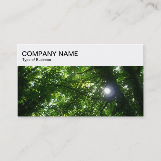 Top Panel - Sun Shining Through Trees Business Car Card (Front)