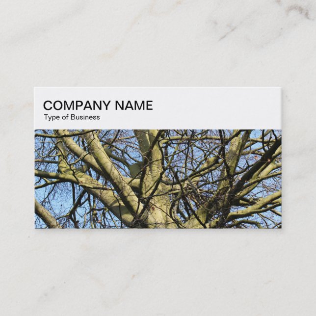 Top Panel - Winter Branches 03 Business Card (Front)