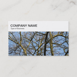 Top Panel - Winter Branches Business Card