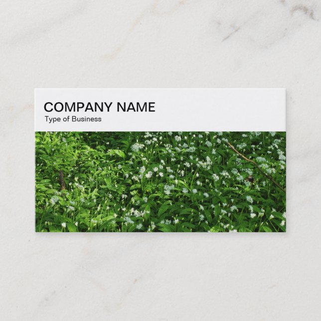 Top Panel - Woodland Carpet Business Card (Front)